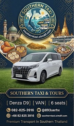 MPV Luxury Van 2