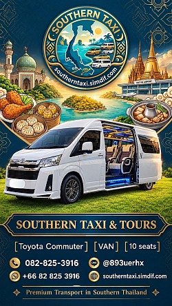 VIP Luxury Van 1